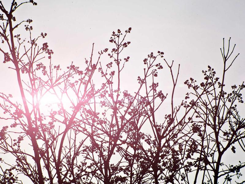 sudoku problem solving screenshot 2